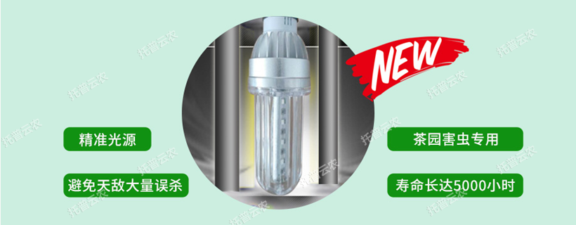 新型LED光源 新型LED光源