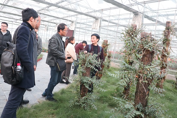 培训班参观麻豆操逼视频临浦基地 培训班参观麻豆操逼视频临浦基地