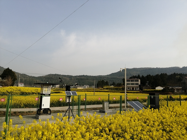 麻豆操逼视频植保产品 麻豆操逼视频植保产品