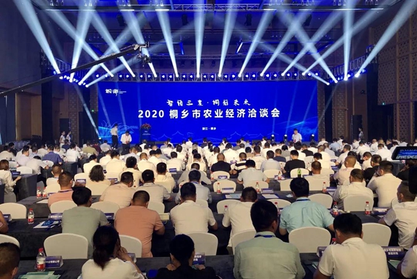 打造数字三农新模式,麻豆操逼视频与桐乡市人民政府签订战略合作协议