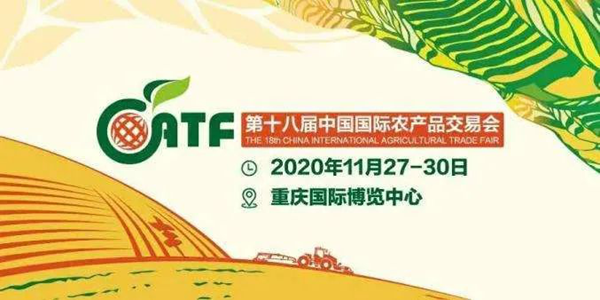 麻豆操逼视频亮相中国农交会,人工智能助力农业高质量发展