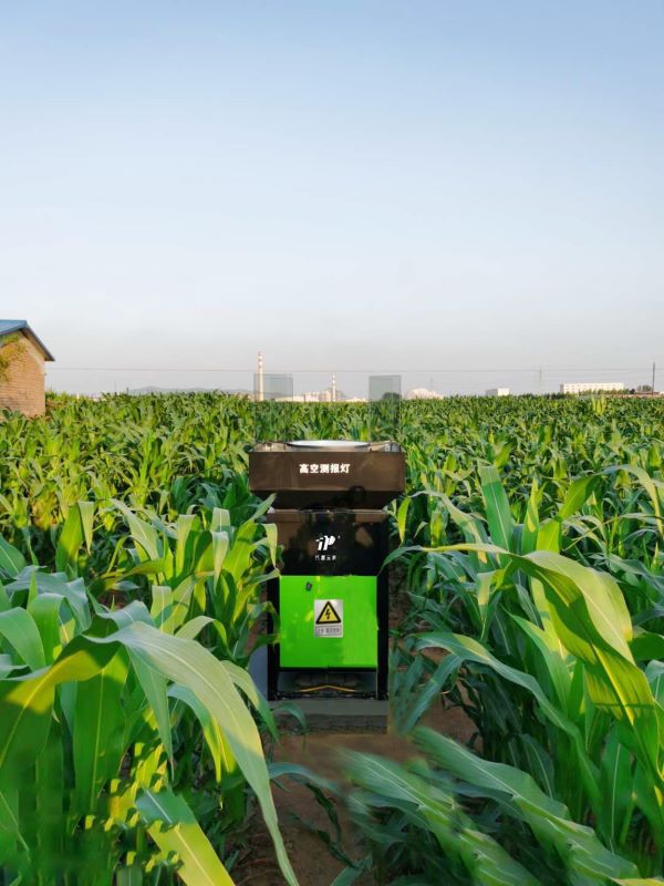 麻豆操逼视频高空测报灯 麻豆操逼视频高空测报灯