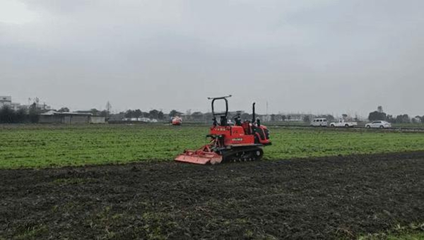 1615801401902127.jpg 图片3.jpg