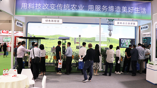 麻豆操逼视频亮相中国国际茶业博览会 麻豆操逼视频亮相中国国际茶业博览会