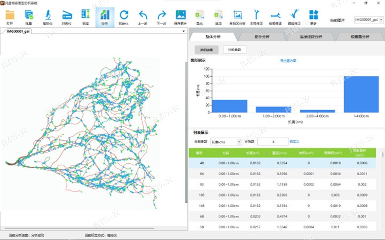 整体分析 整体分析