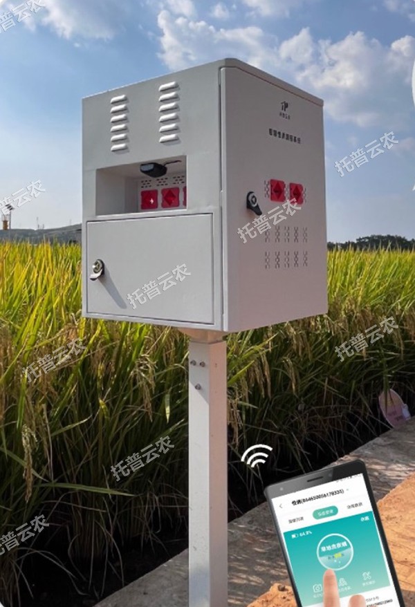 1685949111164603.jpg 8.jpg