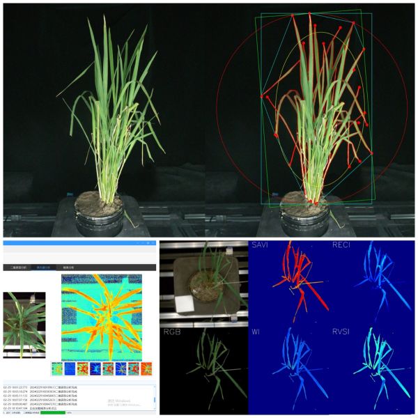 1715932020964711.jpg SEO (5).jpg