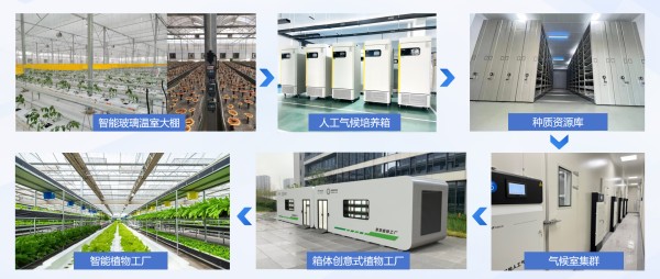 1730363288565454.jpg 案例_副本.jpg