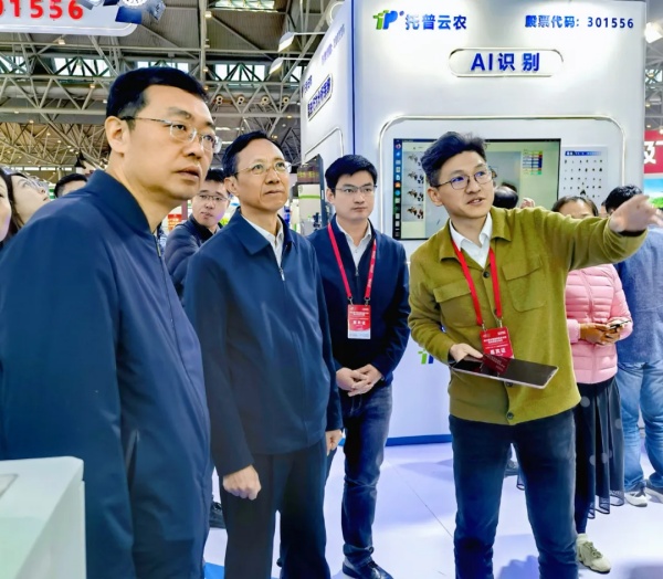 1732525366187719.jpg 6_副本.jpg